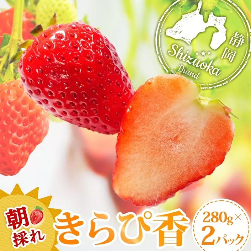 0012-106-05 富士宮市産 いちご きらぴ香 280g×2P 計560g