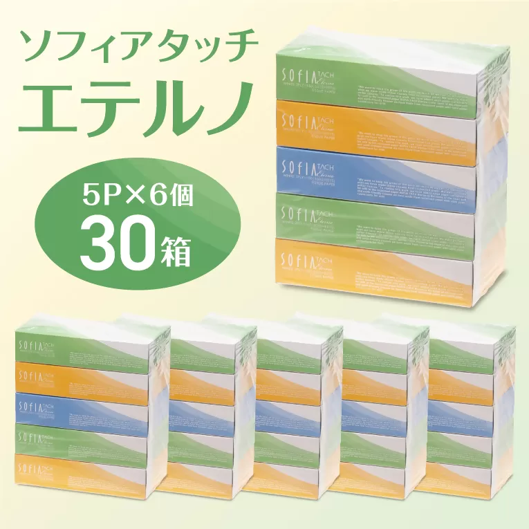 0007-107-01 マスコー製紙 ソフィアタッチ エテルノ ティッシュペーパー 150組×5箱×6パック (30箱)
