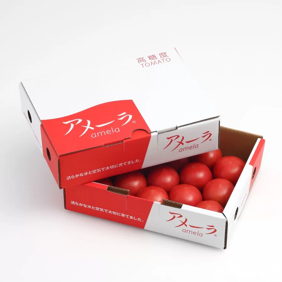 0013-40-07 アメーラトマト 900g