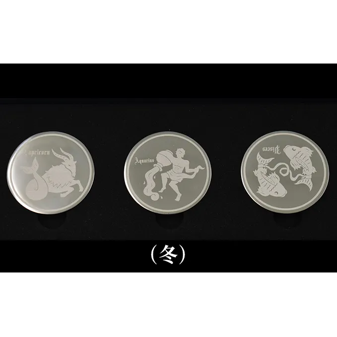 コイン型のアイスキューブ（冬） 雑貨 日用品 アイスコイン 氷 ステンレス 化粧箱