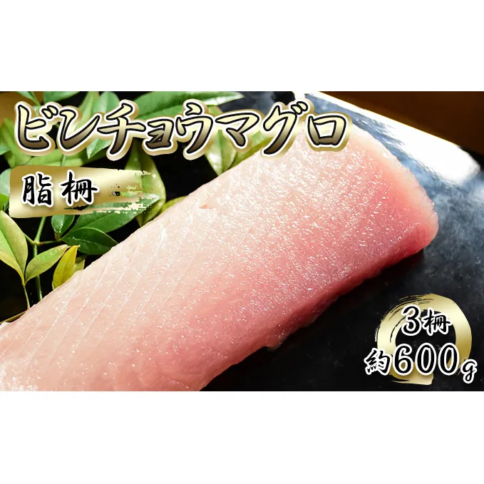 ビンチョウマグロ 脂柵 3柵（約600g）【配送不可：離島】 魚貝類 魚 刺身用 刺身用柵 つまみ 肴 お酒のあて 刺身 手巻き寿司 寿司 具材 後味の良い脂 