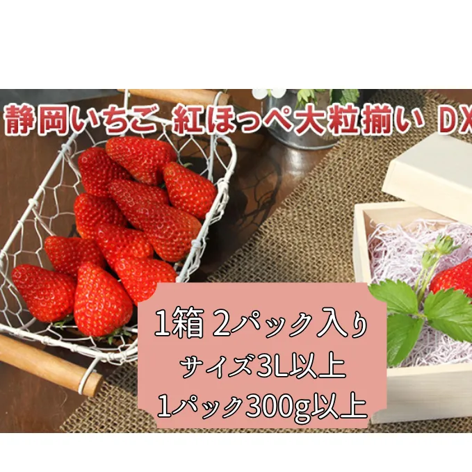 いちご 紅ほっぺ 大粒揃い DXパック 1箱 2パック セット フルーツ 果物 くだもの イチゴ 苺 大粒 果実 旬の果物 旬のフルーツ 静岡 静岡県 島田市 【配送不可：離島】