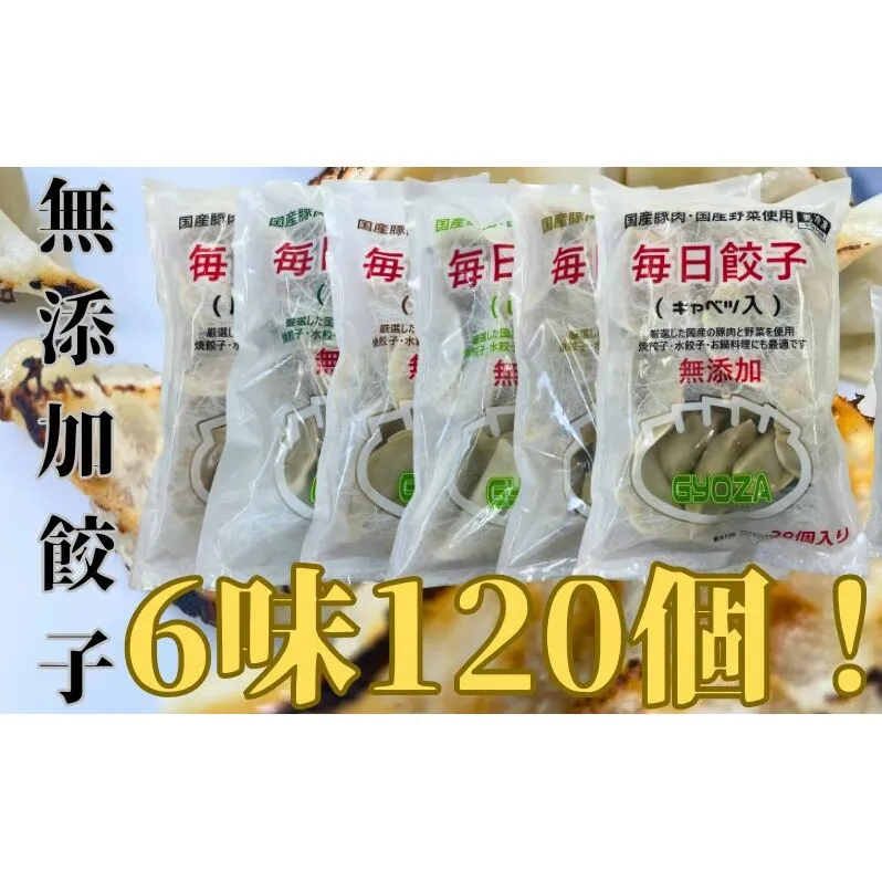 安心安全の無添加冷凍ぎょうざ！6種（キャベツ・唐辛子・ニンニク・野菜・レタス・生姜）合計120個！ 加工食品 惣菜 冷凍惣菜 おかず 中華 国産豚肉 国産野菜 鍋料理 