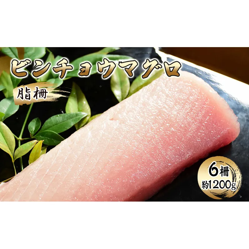 ビンチョウマグロ 脂柵 6柵（約1200g）【配送不可：離島】【 まぐろ 刺身 冷凍 びんちょう 】 
