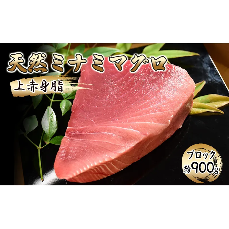 天然ミナミマグロ 上赤身脂 ブロック（約900g）【配送不可：離島】【 まぐろ 刺身 冷凍 天然 ブロック 】 