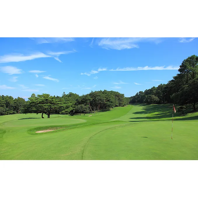 平日プレー招待券（お一人様） ゴルフ場利用権 