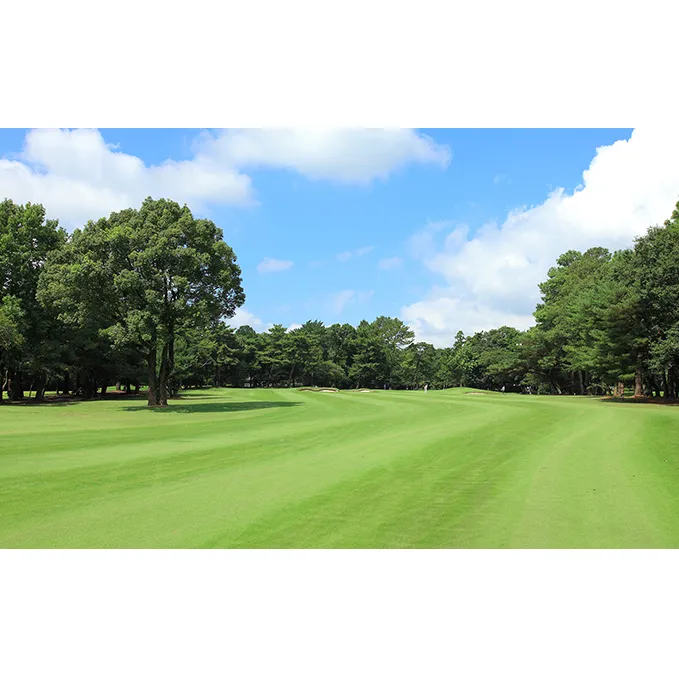 土日プレー招待券（お一組様） ゴルフ場利用権 