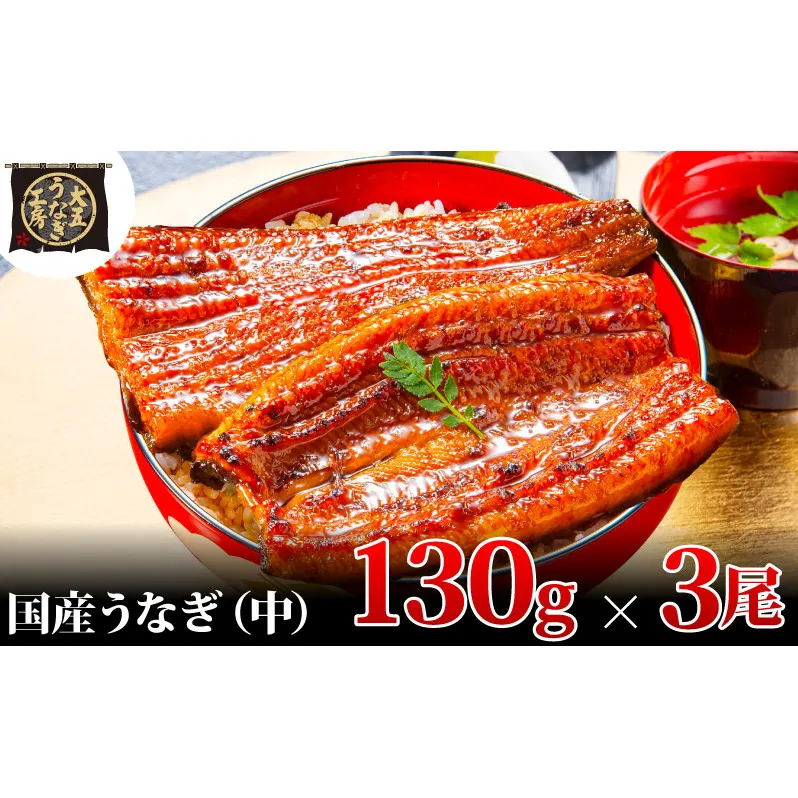 うなぎ蒲焼 130g×3尾(390g) うなぎ ウナギ 鰻 蒲焼 蒲焼き冷凍 国産 大五 大五通商 静岡 島田市