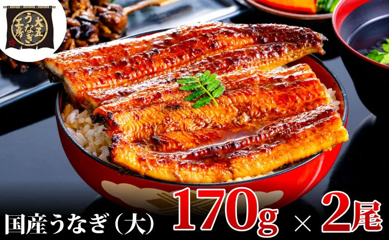 うなぎ蒲焼 170g×2尾(340g) うなぎ ウナギ 鰻 蒲焼 蒲焼き冷凍 国産 大五 大五通商 静岡 島田市