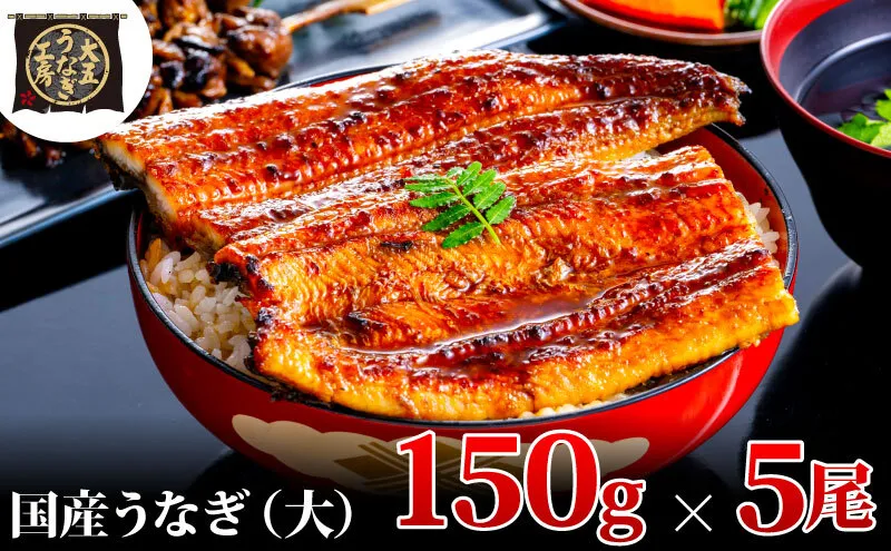 うなぎ蒲焼 150g×5尾(750g) うなぎ ウナギ 鰻 蒲焼 蒲焼き冷凍 国産 大五 大五通商 静岡 島田市