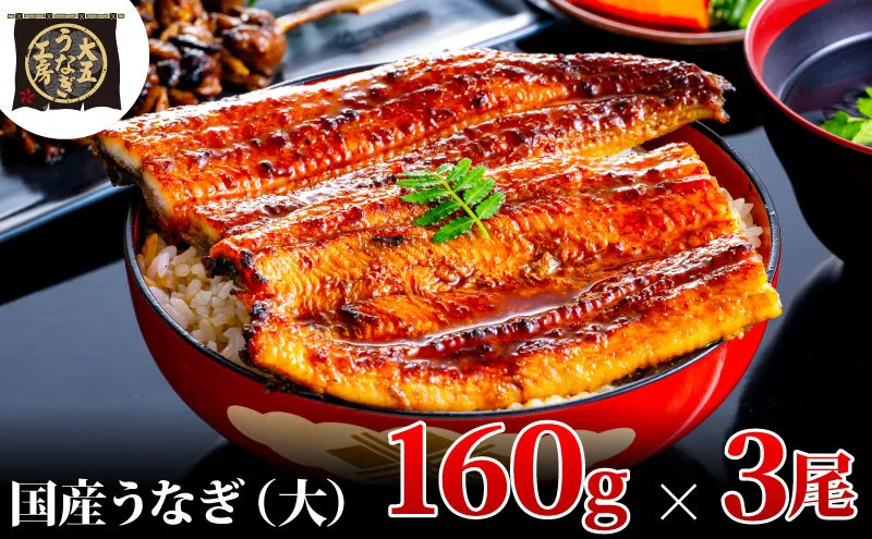 うなぎ蒲焼 160g×3尾(480g) うなぎ ウナギ 鰻 蒲焼 蒲焼き冷凍 国産 大五 大五通商 静岡 島田市