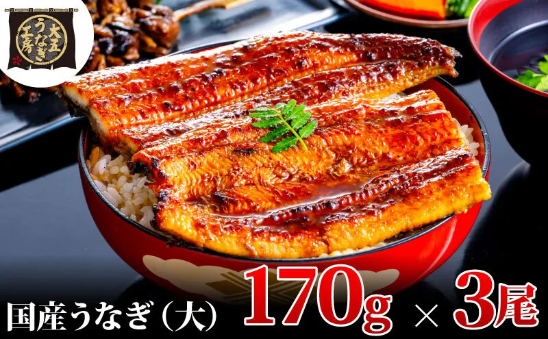 うなぎ蒲焼 170g×3尾(510g) うなぎ ウナギ 鰻 蒲焼 蒲焼き冷凍 国産 大五 大五通商 静岡 島田市