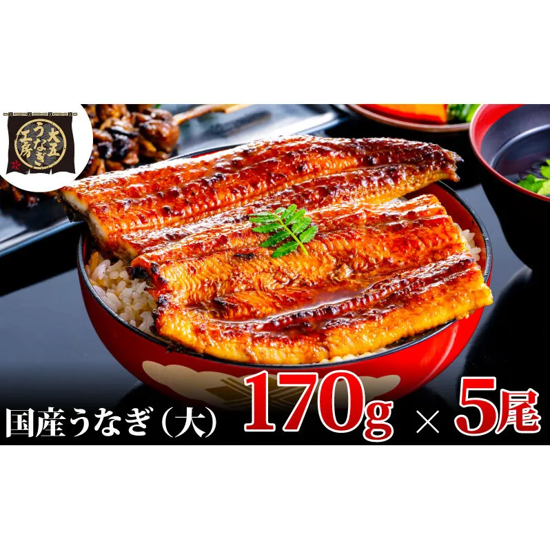 うなぎ蒲焼 170g×5尾(850g) うなぎ ウナギ 鰻 蒲焼 蒲焼き冷凍 国産 大五 大五通商 静岡 島田市