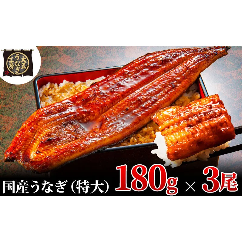 うなぎ蒲焼 180g×3尾(540g) うなぎ ウナギ 鰻 蒲焼 蒲焼き冷凍 国産 大五 大五通商 静岡 島田市