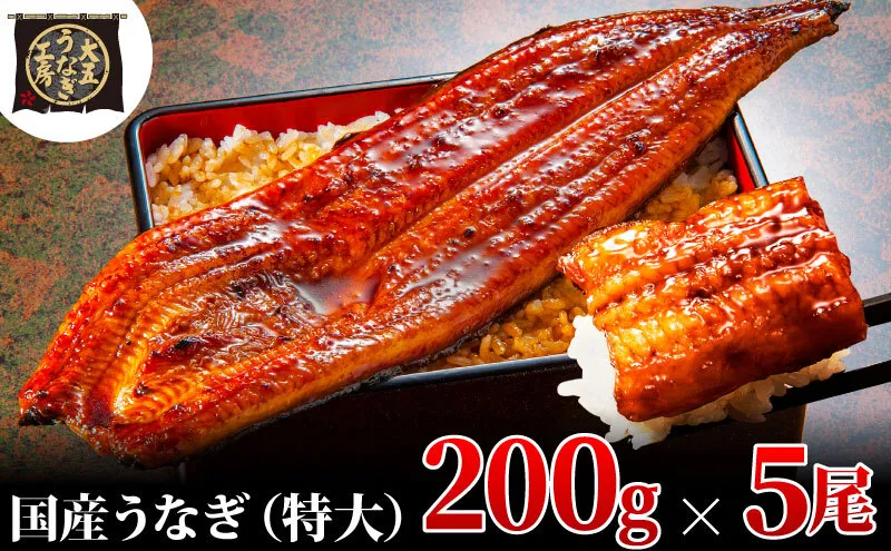 うなぎ蒲焼 200g×5尾(1kg) うなぎ ウナギ 鰻 蒲焼 蒲焼き冷凍 国産 大五 大五通商 静岡 島田市