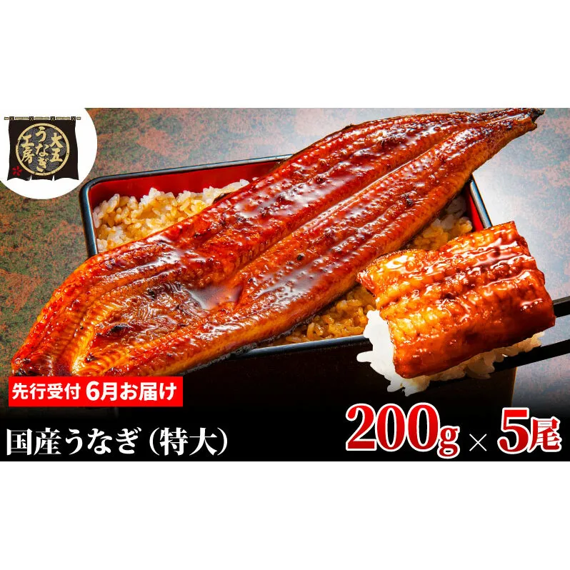 先行受付 【6月上旬配送】 うなぎ蒲焼 200g×5尾(1kg) うなぎ 鰻 蒲焼 蒲焼き 大五通商 静岡 島田市