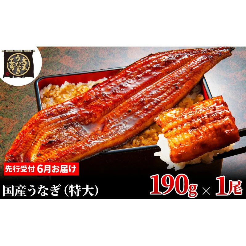 先行受付 【6月上旬配送】 うなぎ蒲焼 190g×1尾 うなぎ 鰻 蒲焼 蒲焼き 大五通商 静岡 島田市