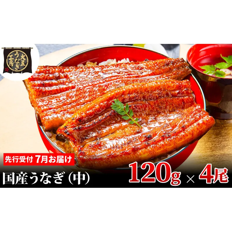 先行受付 【7月上旬配送】 うなぎ蒲焼 120g×4尾(480g) うなぎ 鰻 蒲焼 蒲焼き 大五通商 静岡 島田市