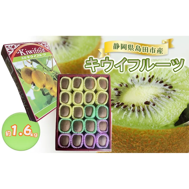 キウイフルーツ　約1.6kg キウイフルーツ 箱 フルーツ 果物 ギフト 贈答 お歳暮 お年賀 静岡県 島田市