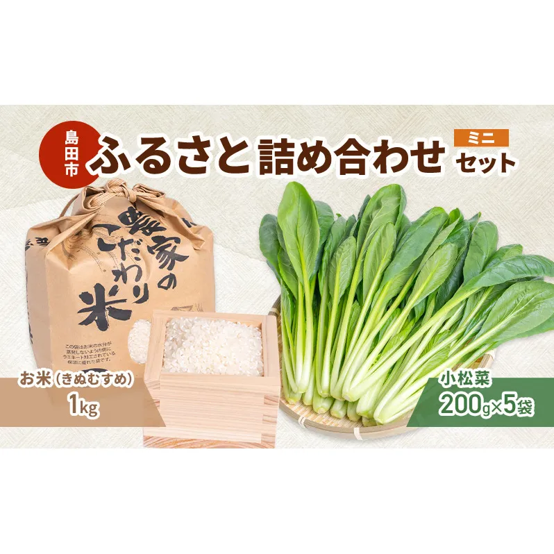 小松菜  お米(きぬむすめ)  詰め合わせ セット1　野菜 やさい こまつな 旬 国産 米 こめ コメ 産地直送 詰合せ 静岡県 島田市