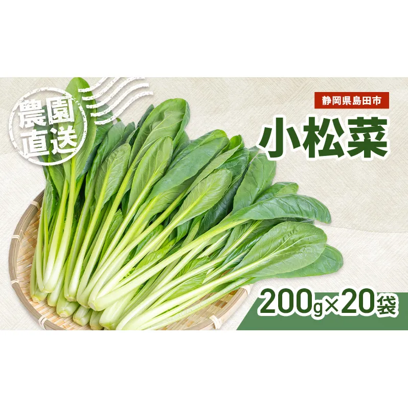 静岡県島田市産 小松菜200g×20袋　野菜 やさい こまつな 旬 国産 産地直送 詰合せ 静岡県 島田市