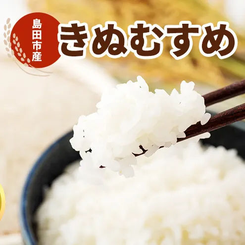 お米 10kg（きぬむすめ） 米 コメ 精米 白米 ご飯 静岡県 島田市 ※配送不可:北海道、沖縄、離島