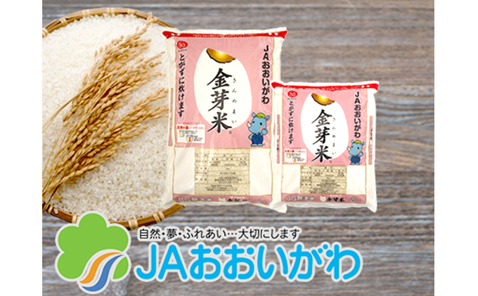 令和6年産 島根県産金芽米にこまる 5キロ 送料込み | JAしまね
