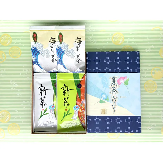 初物深蒸し水出ティーバッグ（5g×12個）×2本、深蒸し新茶100g×2本【2025年5月中旬より順次発送】 お茶 緑茶