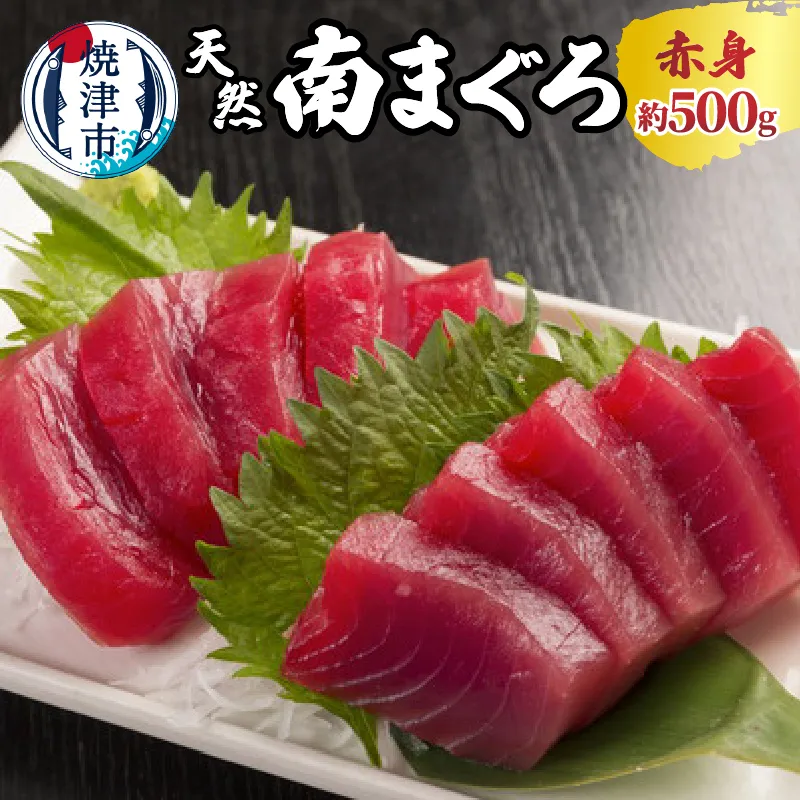 a10-244　焼津 天然 南 まぐろ 赤身