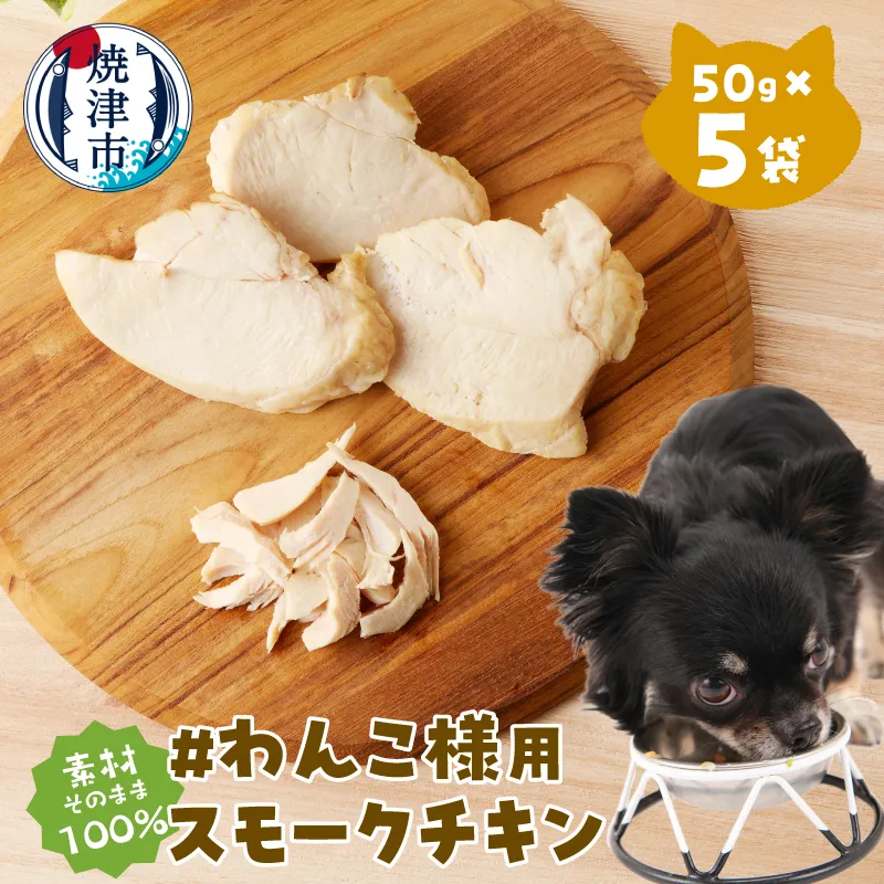 わんこ様用5点セット
