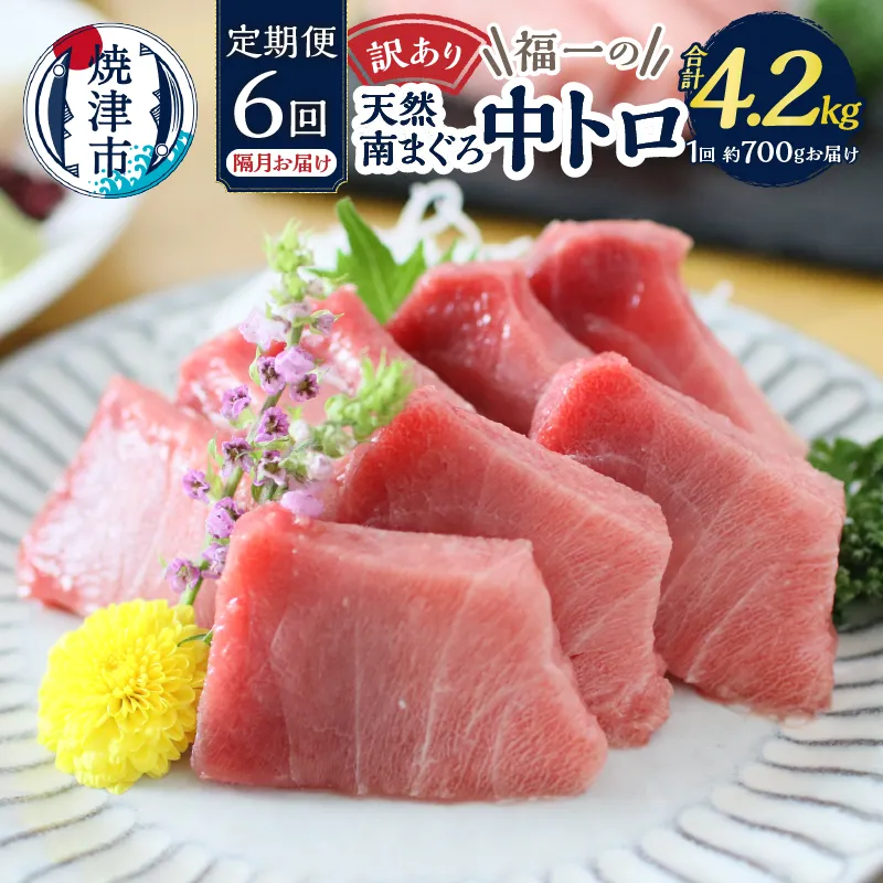 訳あり【定期便 6回隔月でお届け】南鮪・刺身・中トロ(約700g)