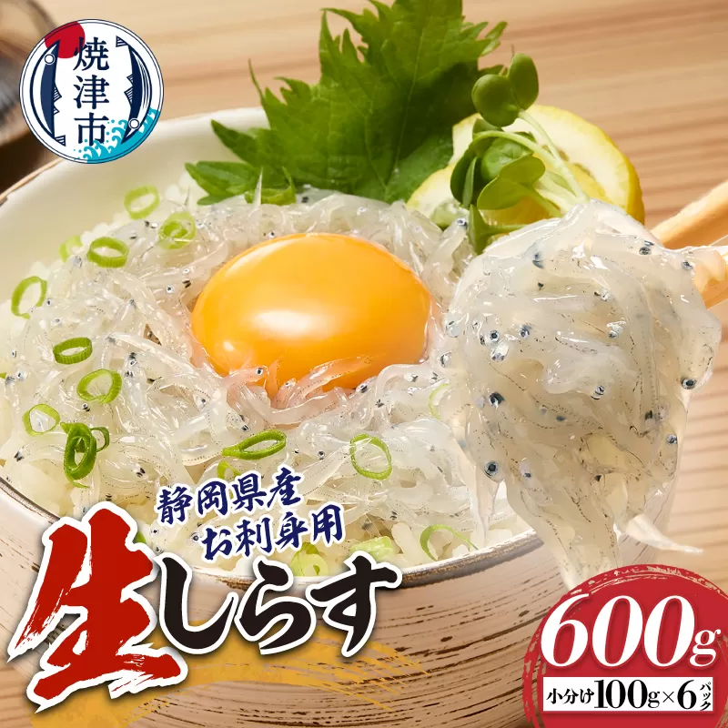 a10-1266　静岡県産お刺身用生しらす：100g×6パック　合計600g