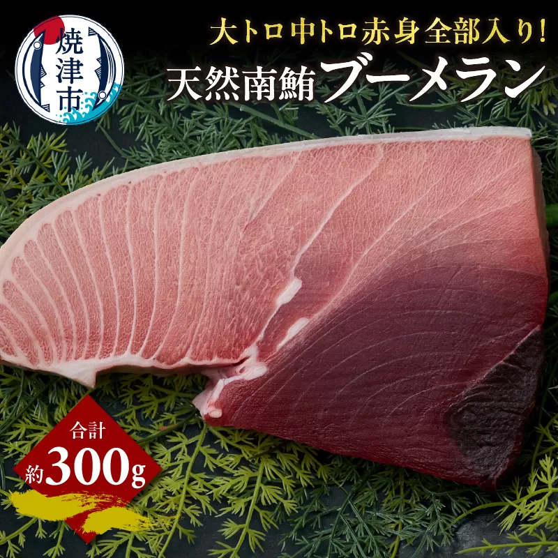 a11-158　天然 南マグロ ブーメラン 約300g