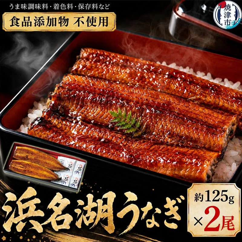a15-609　浜名湖うなぎ蒲焼2尾