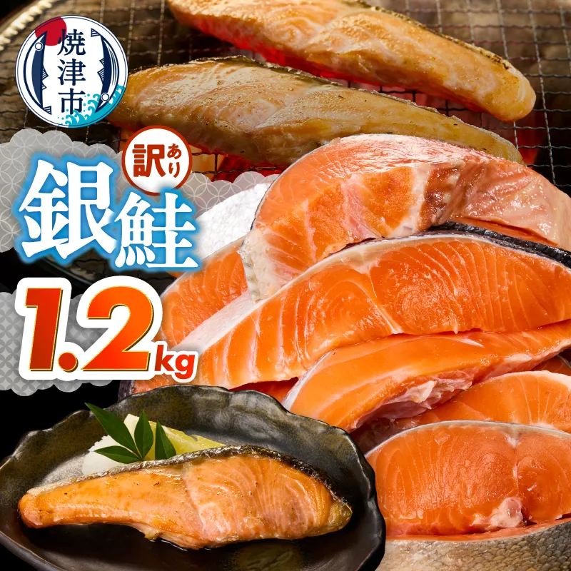 a10-1309　訳あり！ 銀鮭 切身 約1.2kg 便利なジッパーバック入り
