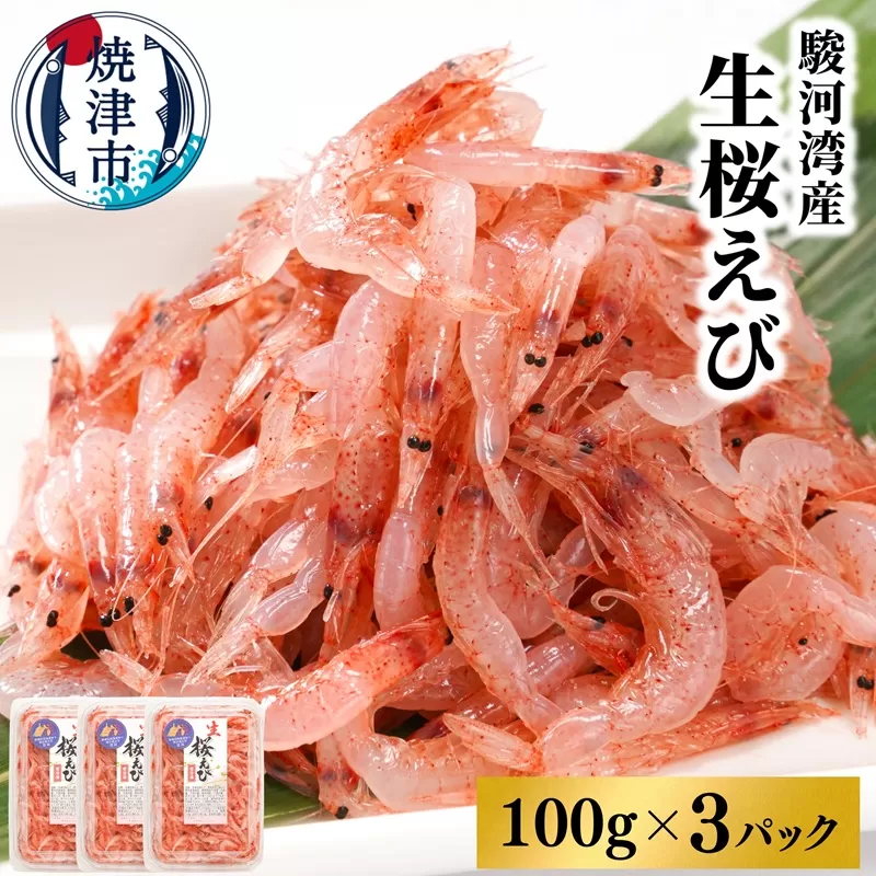 a10-679　焼津特選 生桜えび100g×3
