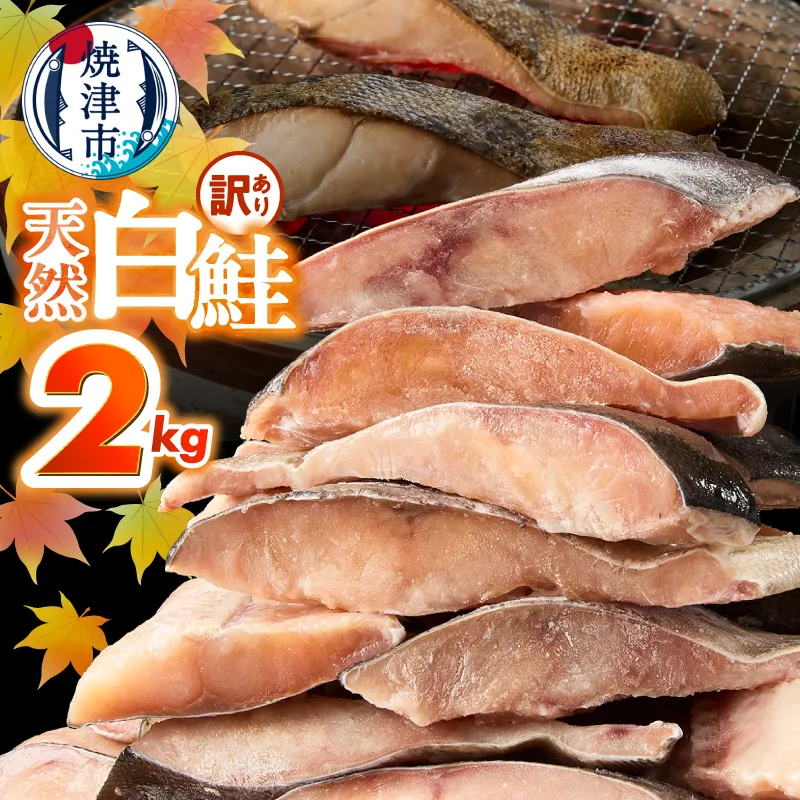 a15-714　訳あり！ 天然 白鮭 甘口 切身 約2kg 便利なジッパーバック入り