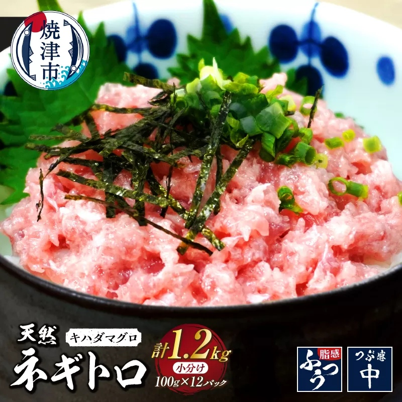 a10-1247 焼津 海の極 海伸 マグロ ネギトロ 小分け 1.2kg 100g×12パック