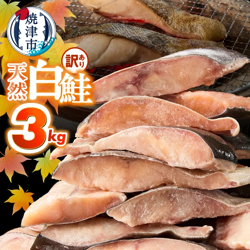 a20-488　訳あり！ 天然 白鮭 甘口 切身 約3kg 便利なジッパーバック入り
