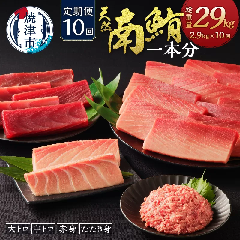m10-001　【定期便10回】南鮪 1本 総重量約29kg（各月約2.9kg）