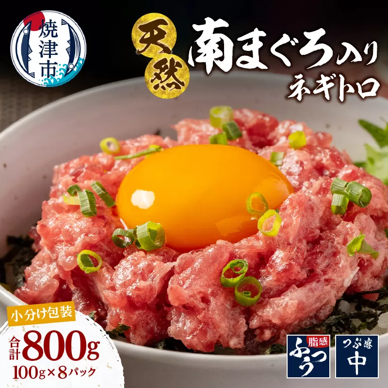a10-1274 南鮪入り 焼津 海の極 ネギトロ 小分け 計800g 100g×8パック