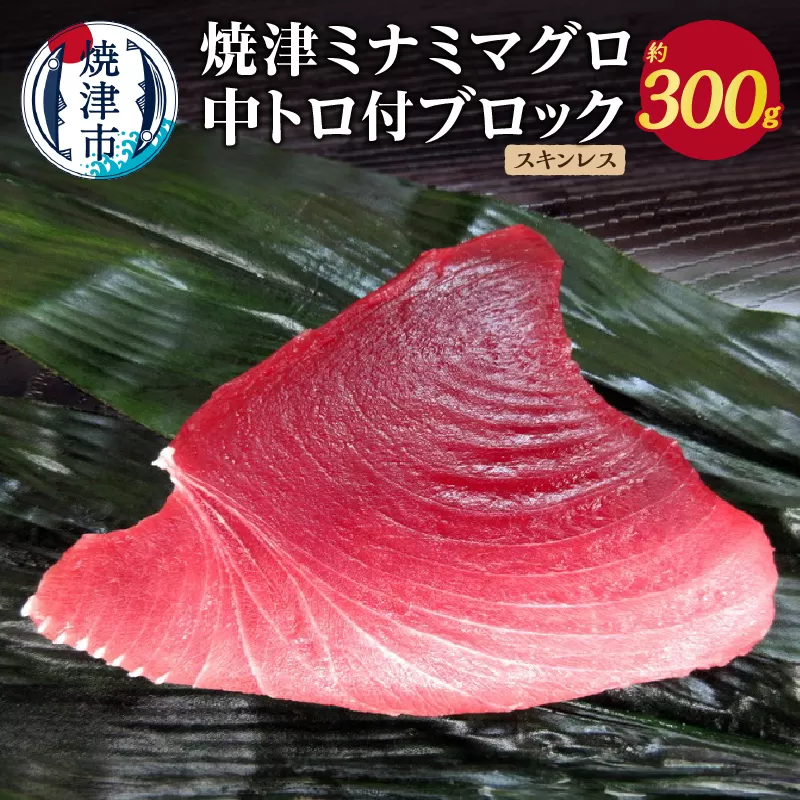 a11-049　焼津ミナミマグロ中トロ付ブロック（スキンレス）