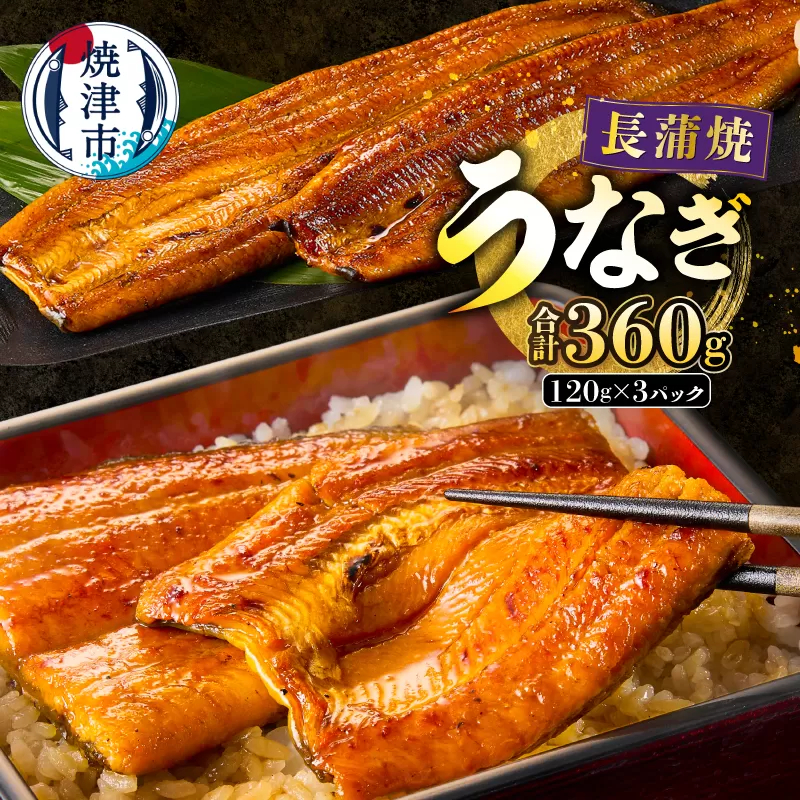 a20-129　静岡うなぎ漁協 うなぎ蒲焼(長焼)セット