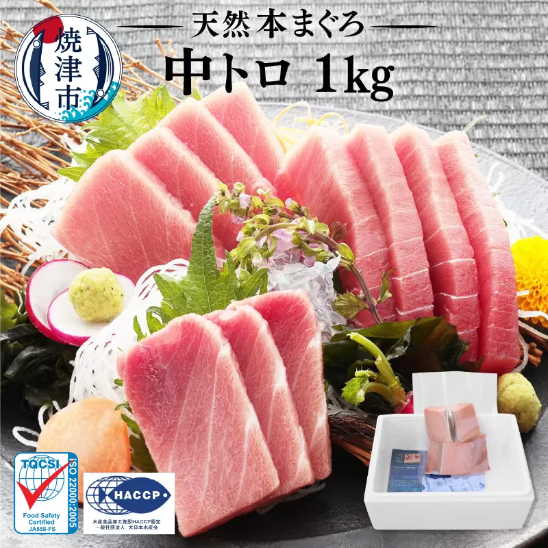 マグロ 中トロ 訳あり 刺身 冷凍 炙り 寿司 丼 ぶつ切り まぐろ専門店 天然 本まぐろ中トロ 1kg