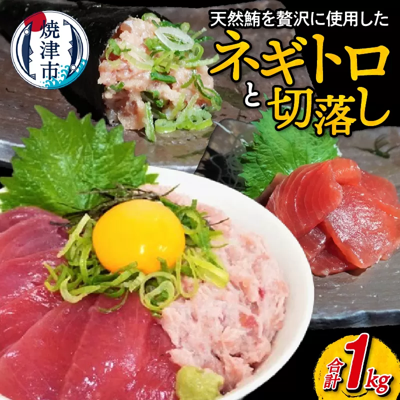 a10-934　天然鮪を贅沢に使用したネギトロと切落しセット