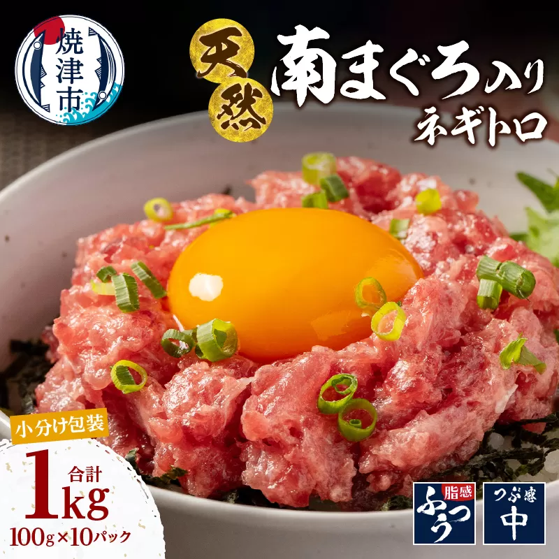 a12-277　南鮪入り 焼津 海の極 ネギトロ 小分け 計1kg 100g×10パック