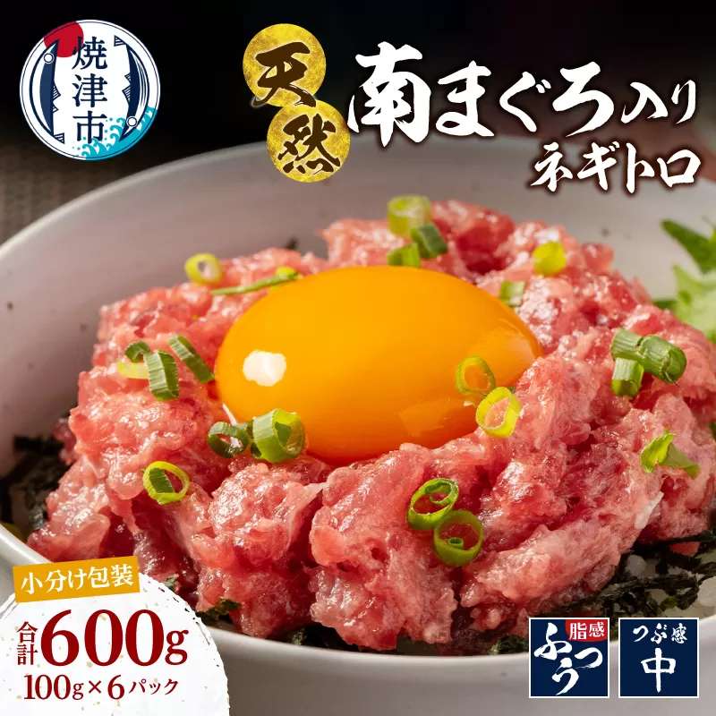 a10-1274　ミナミマグロ入り マグロのたたき 100g 小分け パック セット 焼津 海の極 ネギトロ 天然 新鮮 冷凍 ねぎとろ 小分け 600g（100g× 6パック）