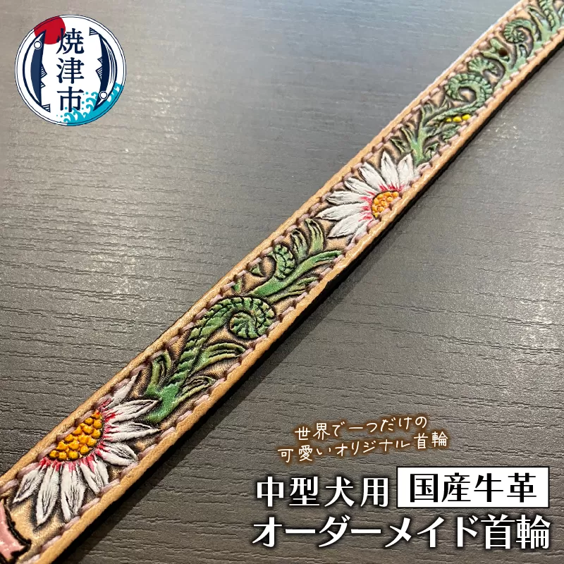 a61-001　中型 犬 の 首輪