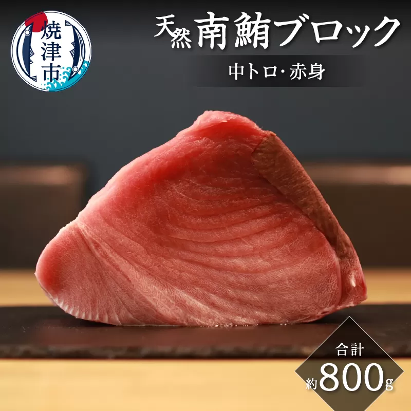 a20-392　キボシ水産 天然 南鮪 ブロック 中トロ 赤身 約800g