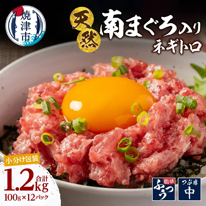 a14-112　南鮪入り 焼津 海の極 ネギトロ 小分け 計1.2kg 100g×12パック